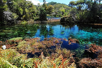 Pupu Springs, New Zealand